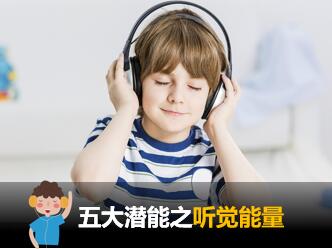 报告解读-五大潜能量之听觉能量