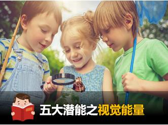 
	天赋云报告解读五大潜能量之视觉能量
