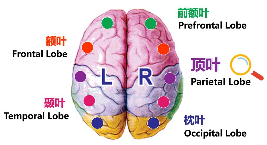 天赋云报告解读1