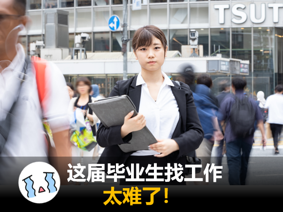  这届毕业生找工作太难了！