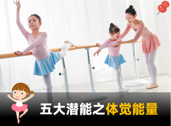 五大潜能量之体觉能量 | 天赋云报告解读